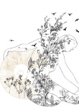 Degustationspaket -